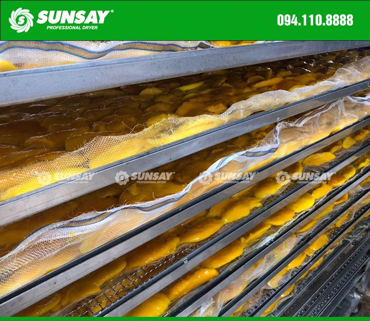Heat pump dryer for the agriculture - dried mango