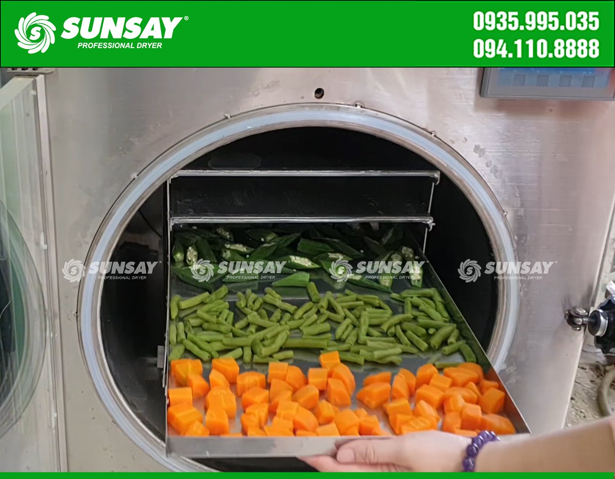 Fuit and vegetable dryer price