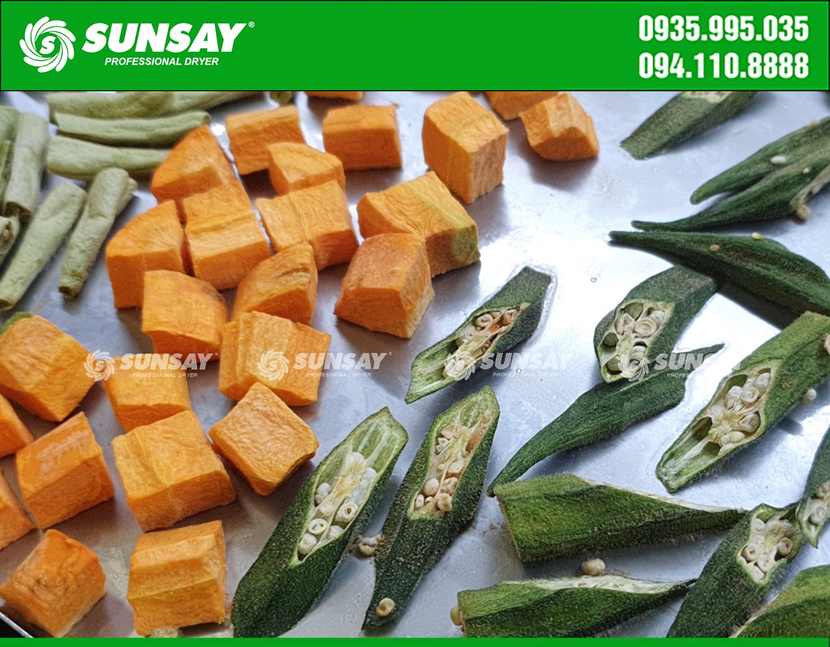Using a fruit and vegetable dryer helps preserve food longer