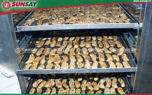 Dried bananas from a food dryer 30 trays