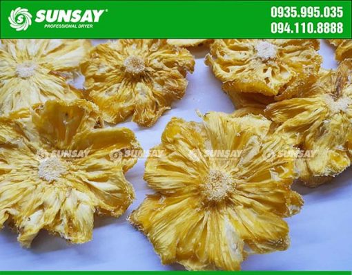 Pineapple dried by food dryer 150 kg to meet export standards