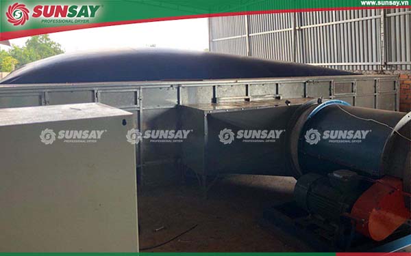 Macadamia nut dryer installed by SUNSAY for customers