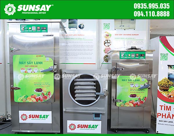 Modern technology fruit dryer