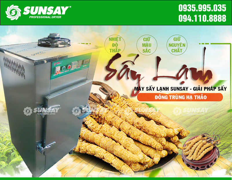 SUNSAY provides prestigious cordyceps dryer