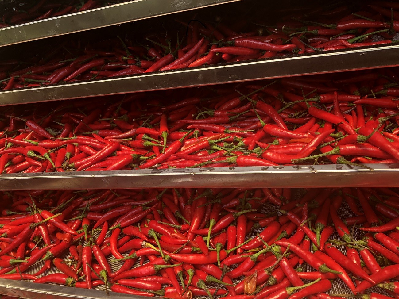 The chili dryer is extremely practical in the production process