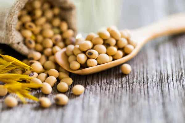 The image of dried soybeans is still intact, beautiful shape