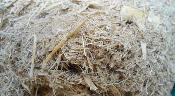 Bagasse has useful uses for human production activities