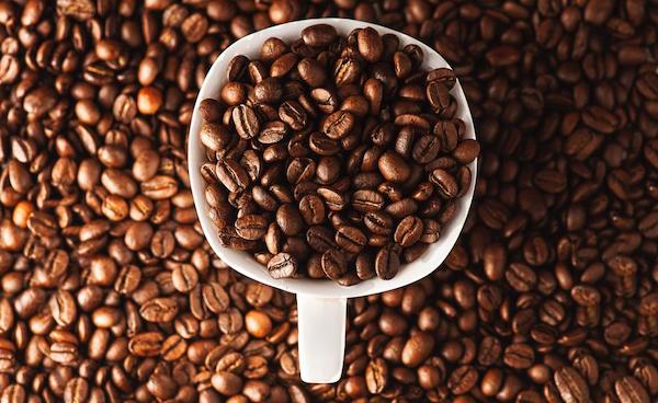 Bringing beautiful and good quality dried coffee beans
