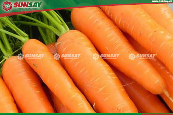 Carrots contain antioxidants, vitamin A is very good for the body