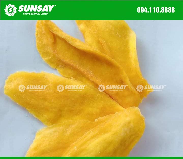 Mangoes are dried with a cold dryer to keep their colors intact