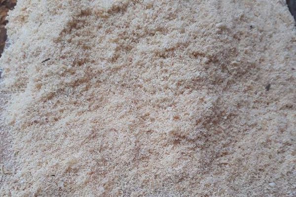 Finished sawdust after drying