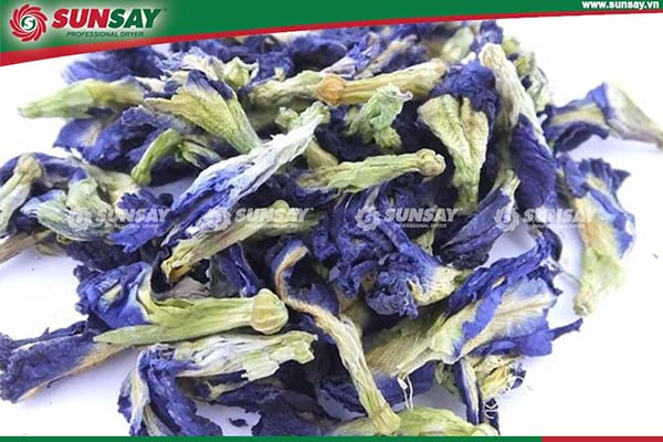 Butterfly pea flowers are grown for ornamental purposes, as a shade and for decoration