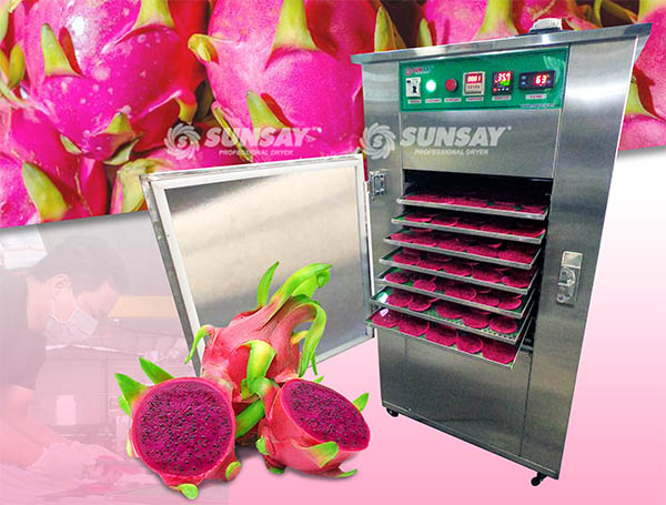 Freeze-dried dragon fruit