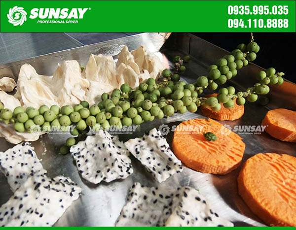 Dried fruit by sublimation drying technology