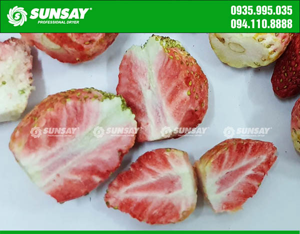 Dried fruit by sublimation drying technology