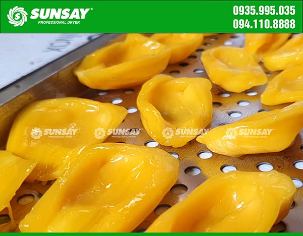 Jackfruits are arranged evenly on the tray