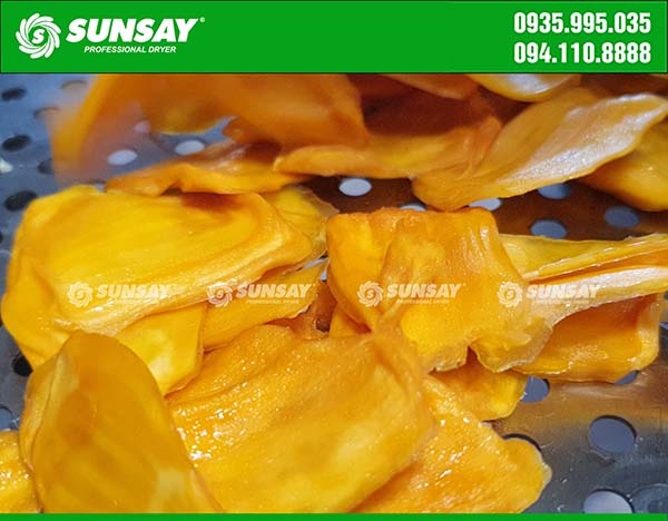 Dried jackfruit with a cold dryer