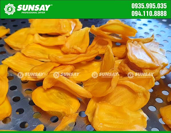 Dried jackfruit with a cold dryer