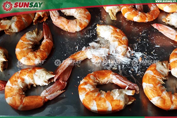 Dried shrimp by sublimation drying technology