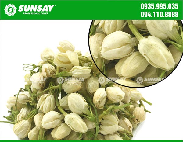 Dried jasmine flowers make jasmine tea with delicious taste