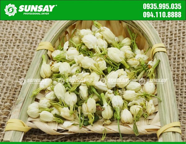 Dried jasmine flowers with a freeze dryer