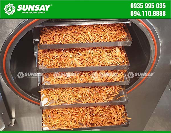 The process of sublimation drying of cordyceps is quite complicated