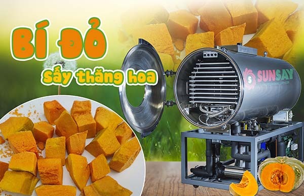 Sublimation dried pumpkin