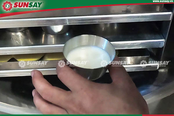 Liquid yogurt before drying