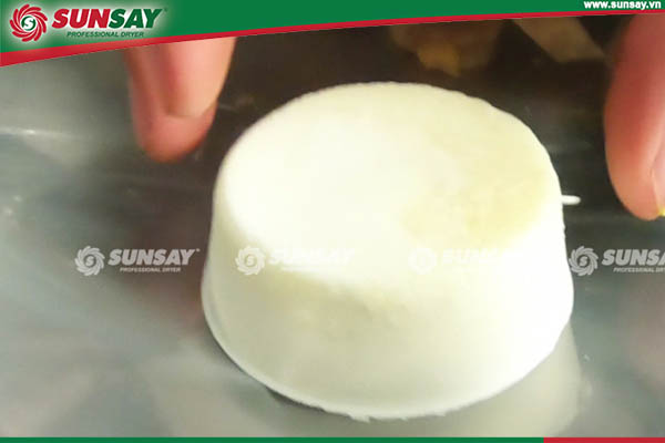 Freeze-dried yogurt after drying is complete