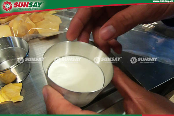 Sublimation dried yogurt with modern SUNSAY drying technology