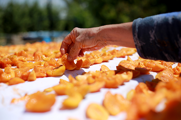 The oldest drying method is sun drying