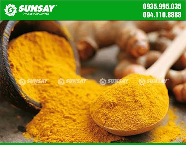 Turmeric powder is dried by SUNSAY freeze dryer