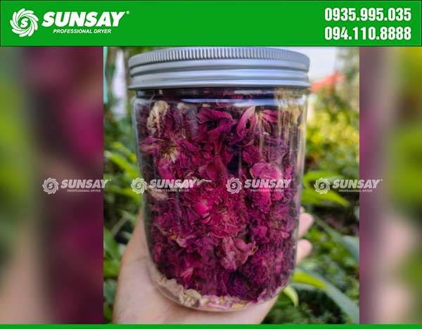 After drying, roses can be preserved in many ways