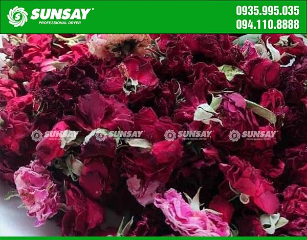 Dried roses with a freeze dryer