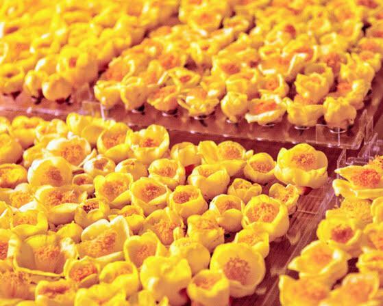 Dried yellow flower tea keeps its color and shape