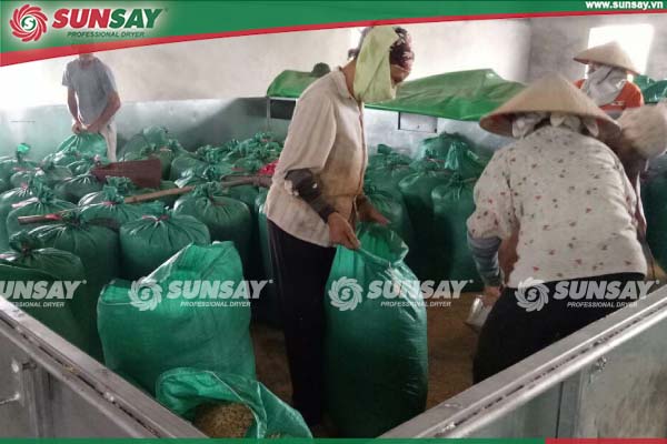 Nam Dinh rice drying machine