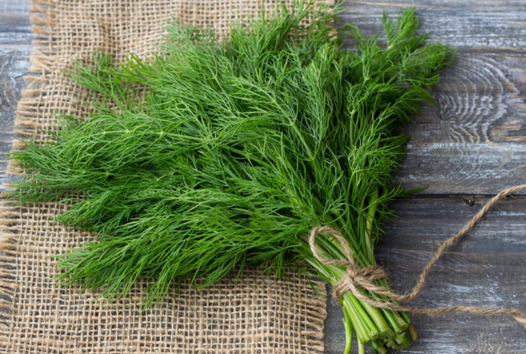 Dill is very good for people with diabetes and heart disease
