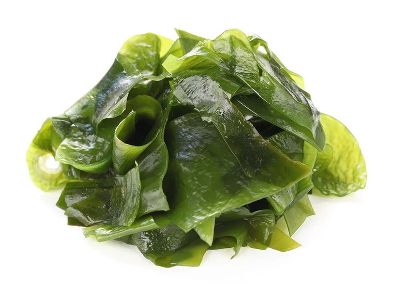 Fresh seaweed