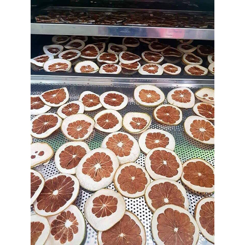 Grapefruit is sliced ​​and put in the freezer