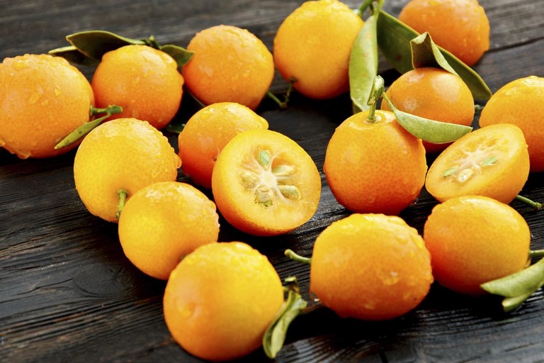 Kumquat has the effect of treating many diseases good for health