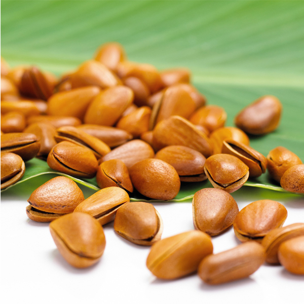 Dried pine nuts