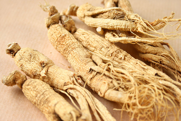 Ginseng is dried by modern freeze-drying technology