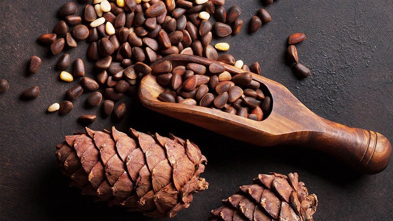 Pine nuts are only the size of pumpkin seeds, sunflower seeds but are very nutritious