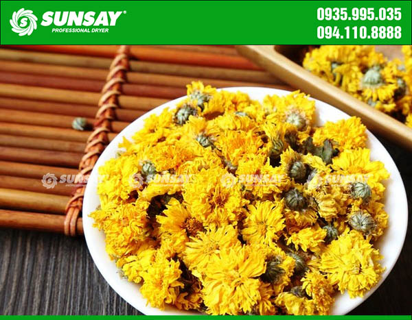 Dried chrysanthemums are very popular
