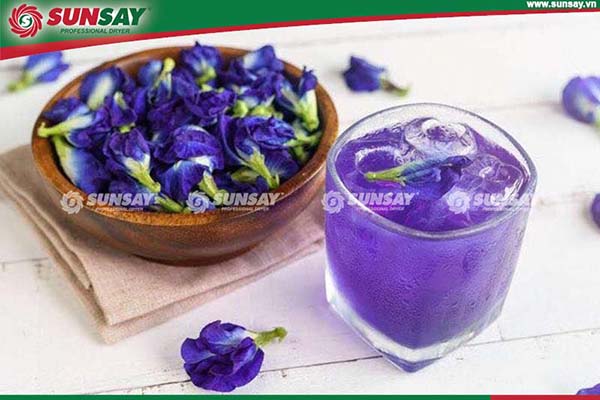 Freeze-dried butterfly pea flower tea has beautiful color, good for health