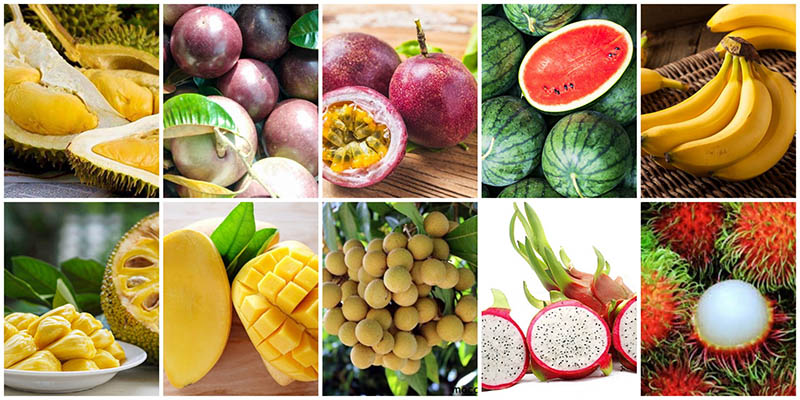 Vietnamese fruits are very diverse