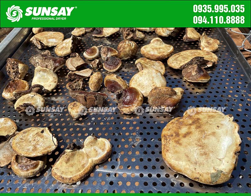 SUNSAY fruit freeze dryer can be used to dry medicinal herbs
