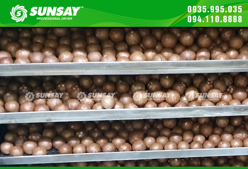 Convection dryer dries macadamia nuts quickly without burning