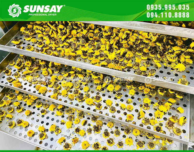 Chrysanthemum dryer helps flowers retain their original color and fragrance