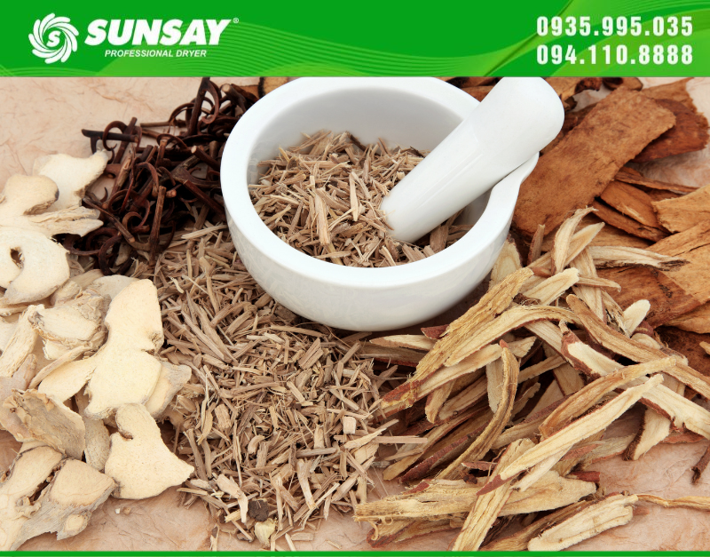 Medicinal herbs are dried by SUNSAY dryer